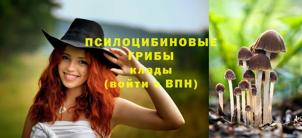 ГАЛЛЮЦИНОГЕННЫЕ ГРИБЫ Абдулино