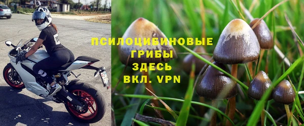 тгк Абинск