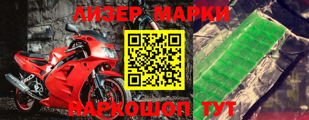 Галлюциногенные грибы Энгельс