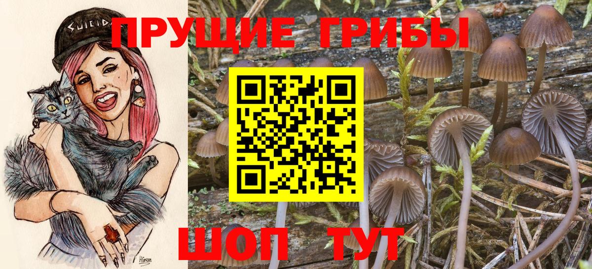 Энгельс  Псилоцибиновые грибы MAGIC MUSHROOMS  где купить наркотик  Вход с VPN 