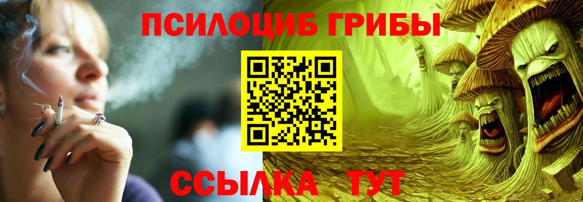 Псилоцибиновые грибы мухоморы Энгельс